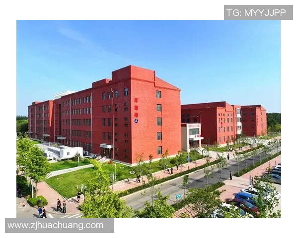 北京乒乓球队快攻革新之路：技术突破与战术演变的深度解析MBA